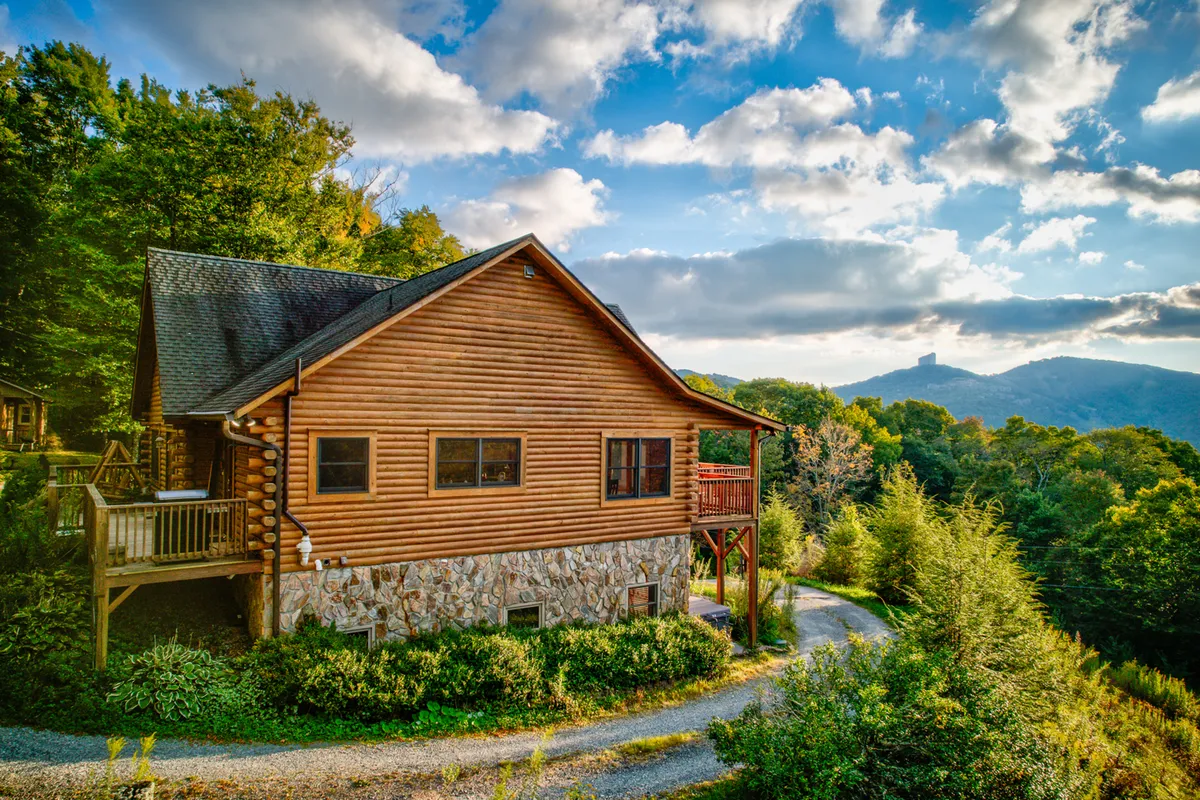 This exterior image showcases the wooden cabin nestled against a backdrop of lush greenery and distant mountain views. The stone foundation and ample outdoor space evoke a sense of adventure and connection to nature, perfect for pets and their owners to explore and relax together.
