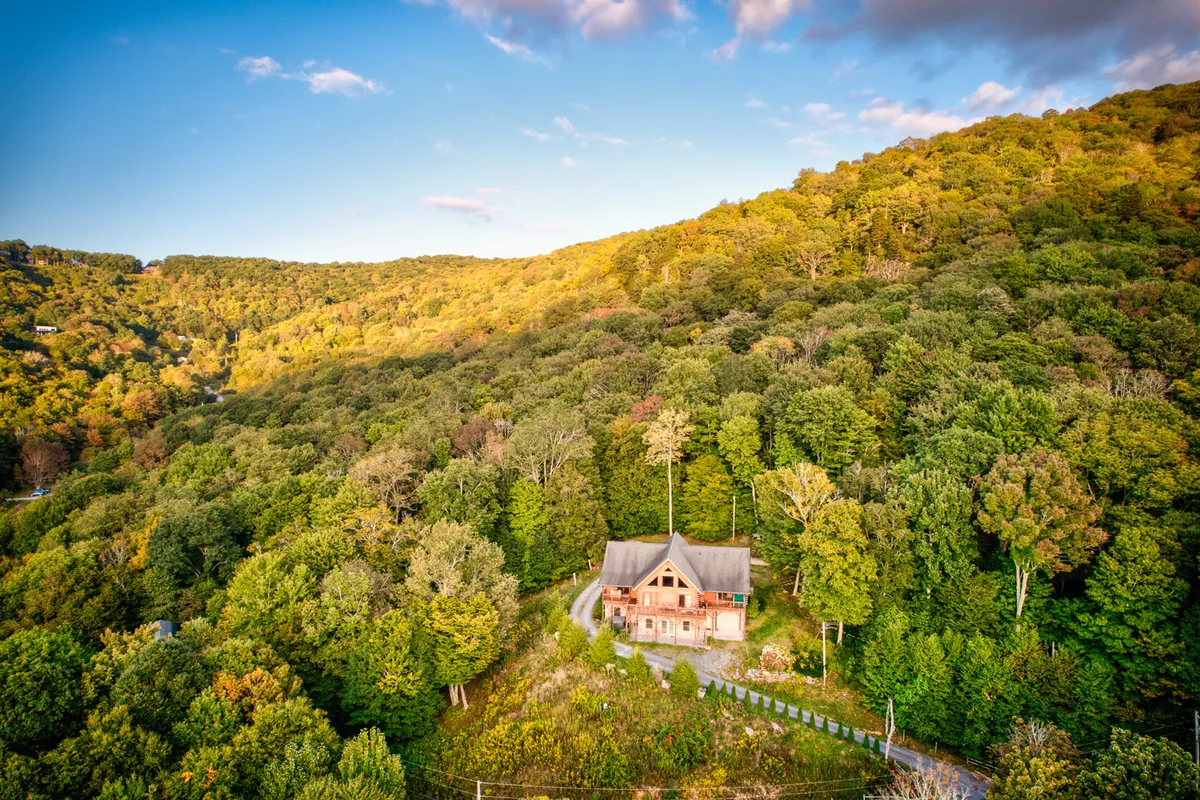 This wide-angle exterior shot features the house, the driveway, and the surrounding trees, hinting at direct access to hiking, bird watching, and spacious outdoor activities. The open, natural setting provides clear cues that it’s a place for exploration and enjoyment with pets.